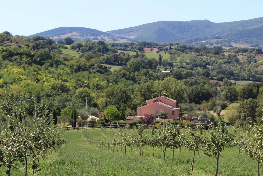 Casa Kikenda, Viaggio Nella Natura Treia 외부 사진