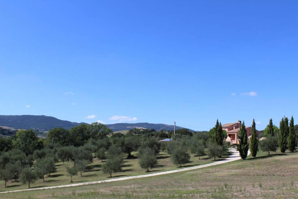 Casa Kikenda, Viaggio Nella Natura Treia 외부 사진