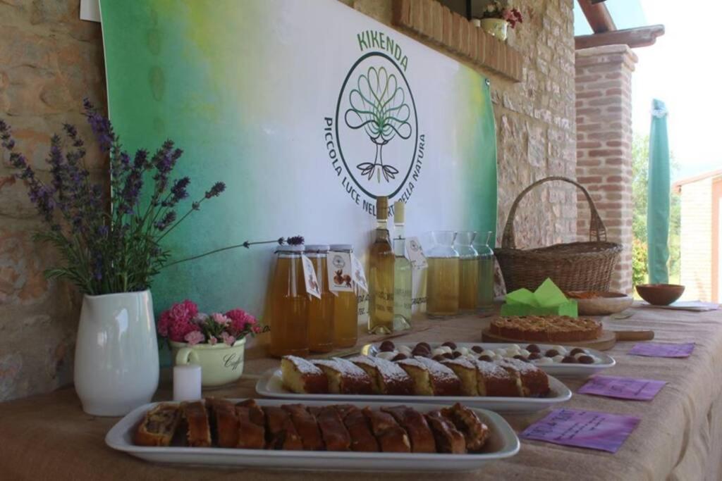 Casa Kikenda, Viaggio Nella Natura Treia 외부 사진