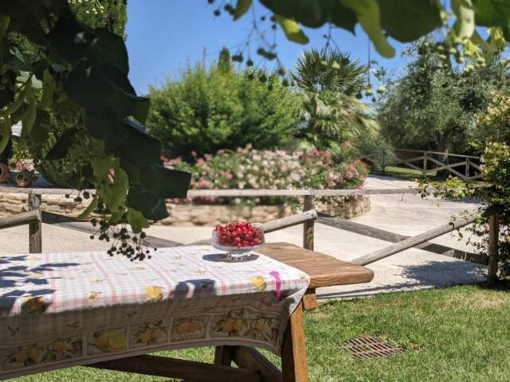 Casa Kikenda, Viaggio Nella Natura Treia 외부 사진
