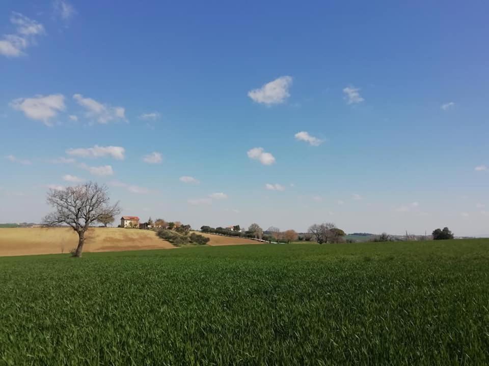 Casa Kikenda, Viaggio Nella Natura Treia 외부 사진