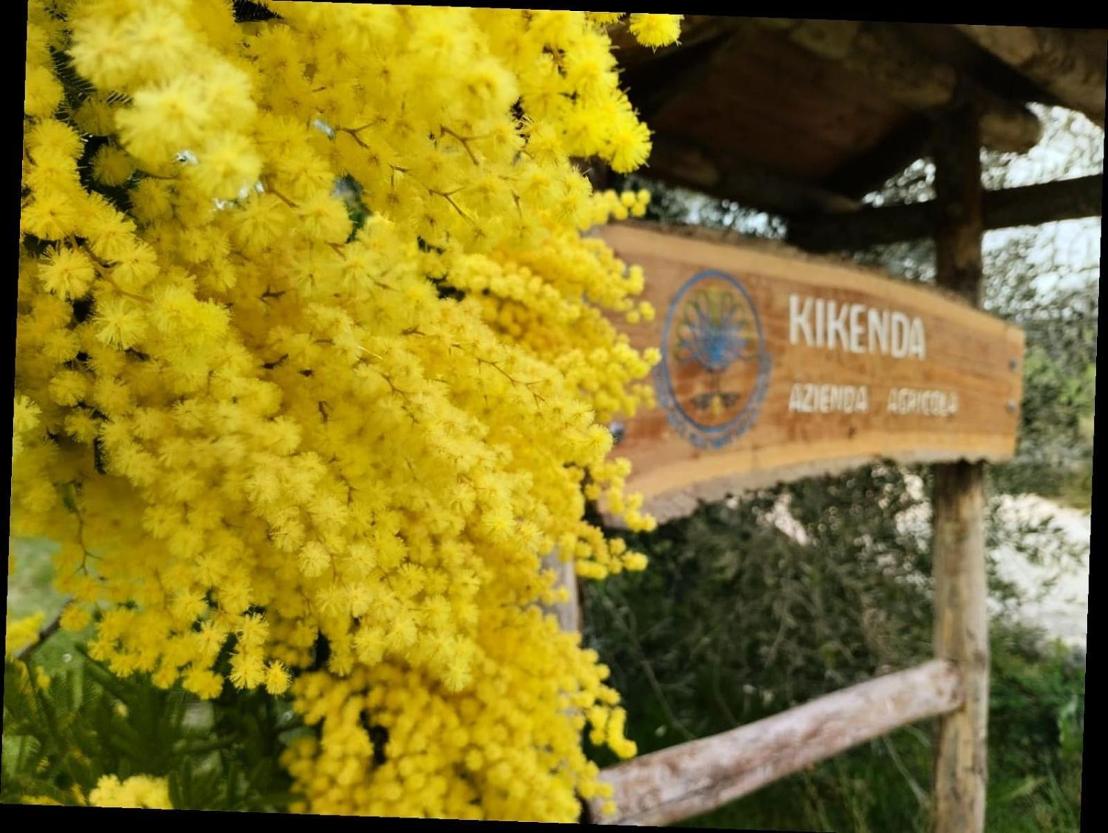 Casa Kikenda, Viaggio Nella Natura Treia 외부 사진
