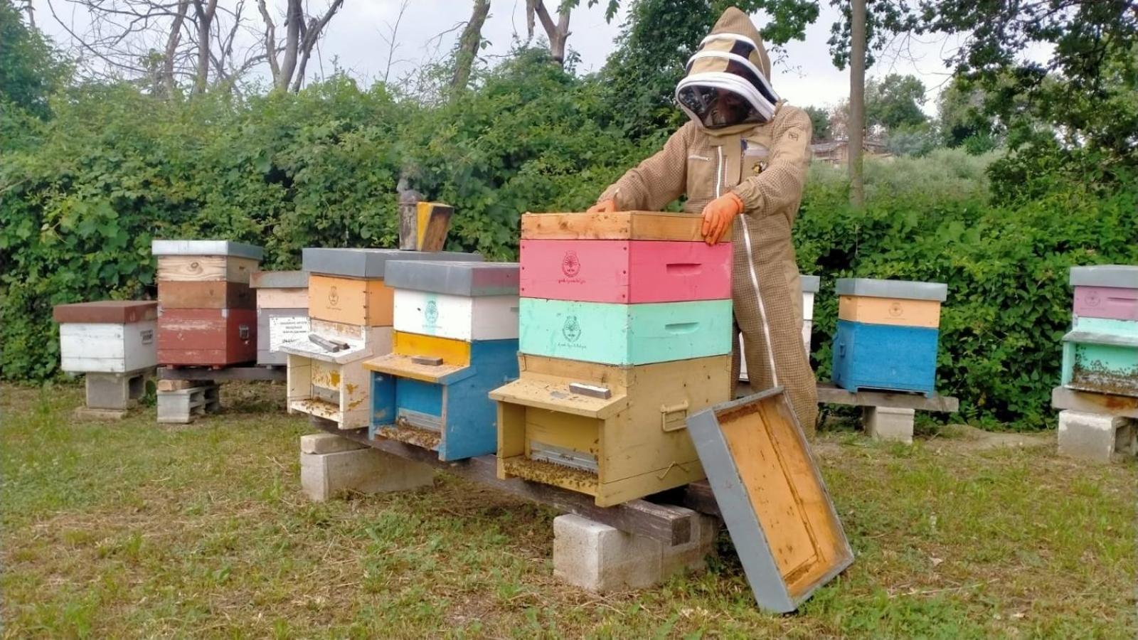 Casa Kikenda, Viaggio Nella Natura Treia 외부 사진