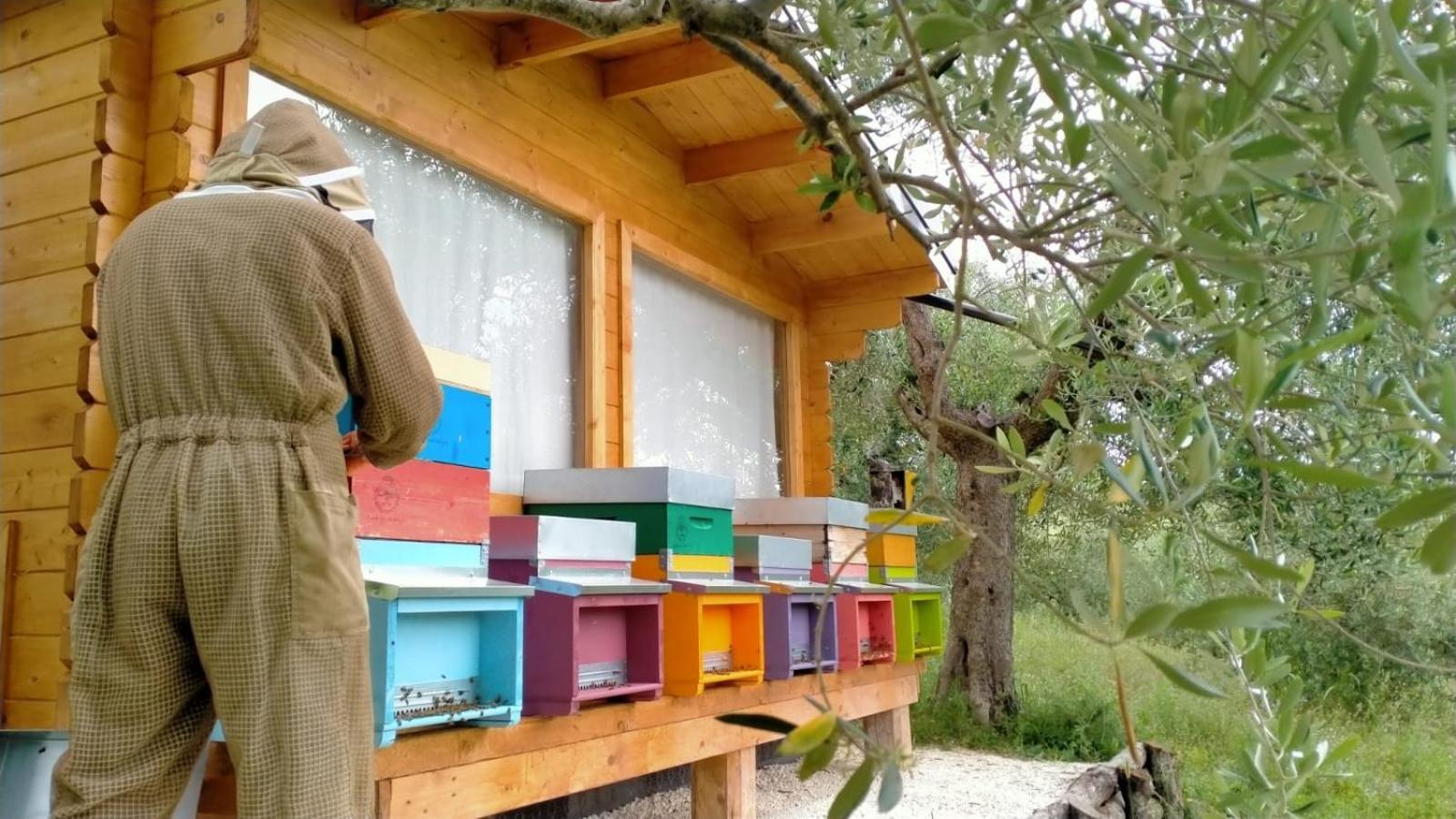 Casa Kikenda, Viaggio Nella Natura Treia 외부 사진