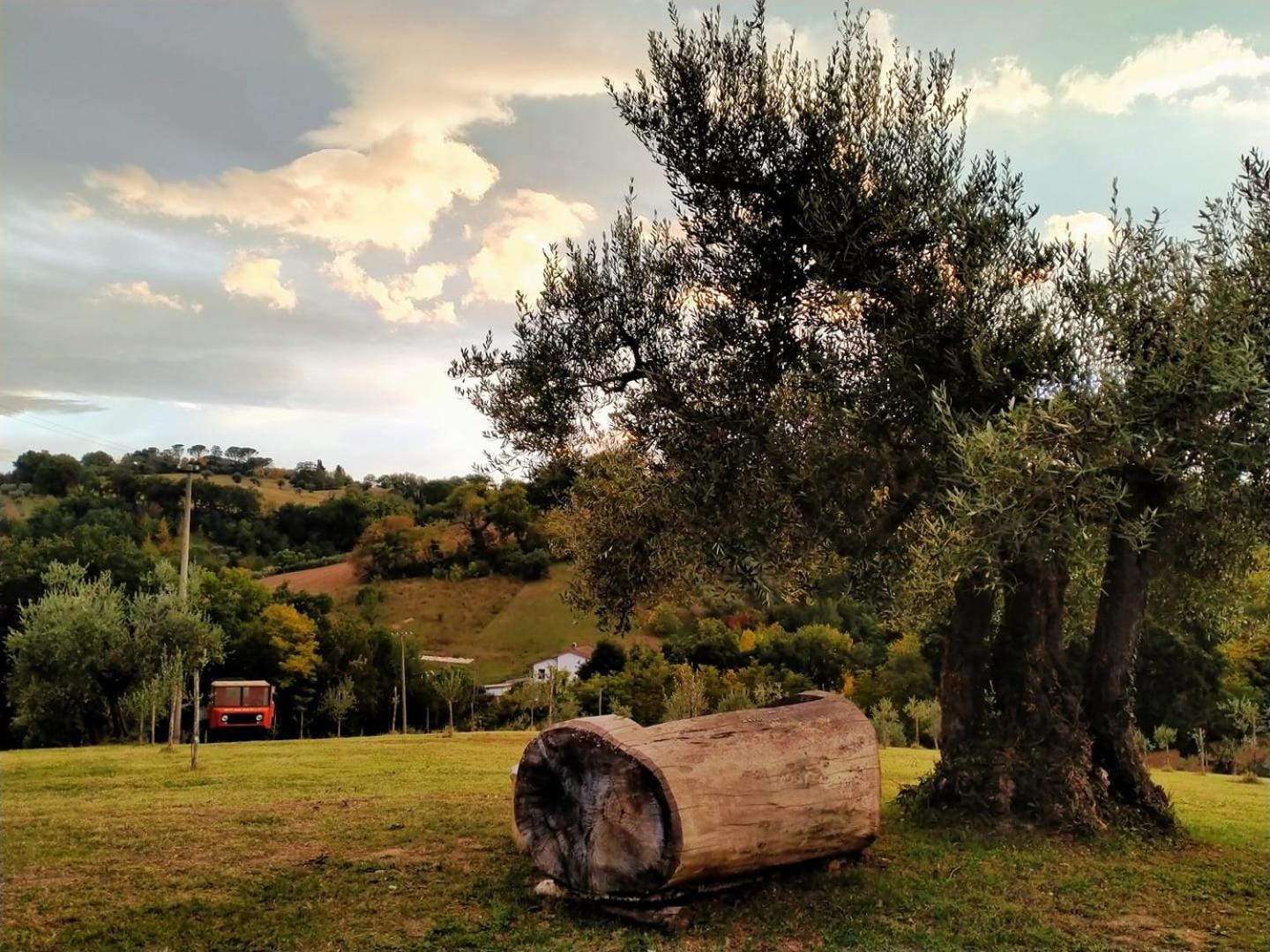 Casa Kikenda, Viaggio Nella Natura Treia 외부 사진